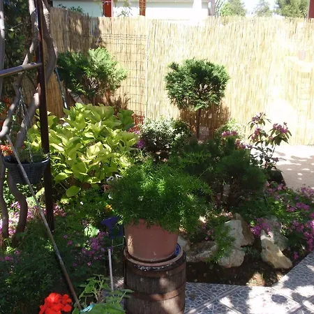 Apartmán Vera Zadar