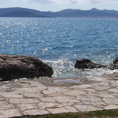 Vera Zadar