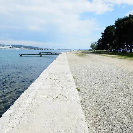 Vera Zadar