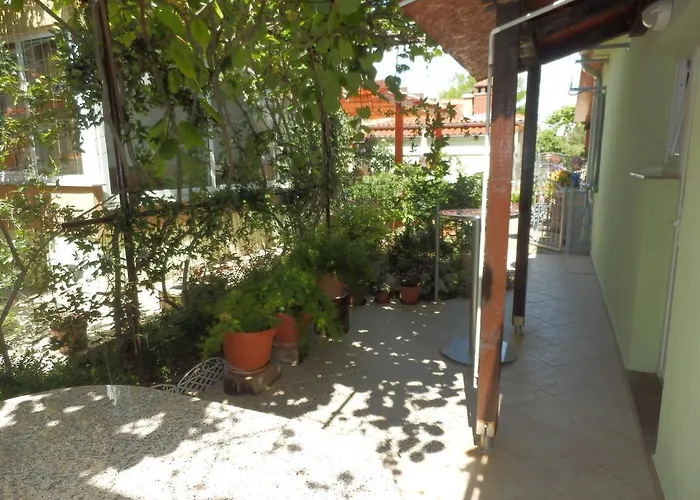 Vera 公寓 扎达尔